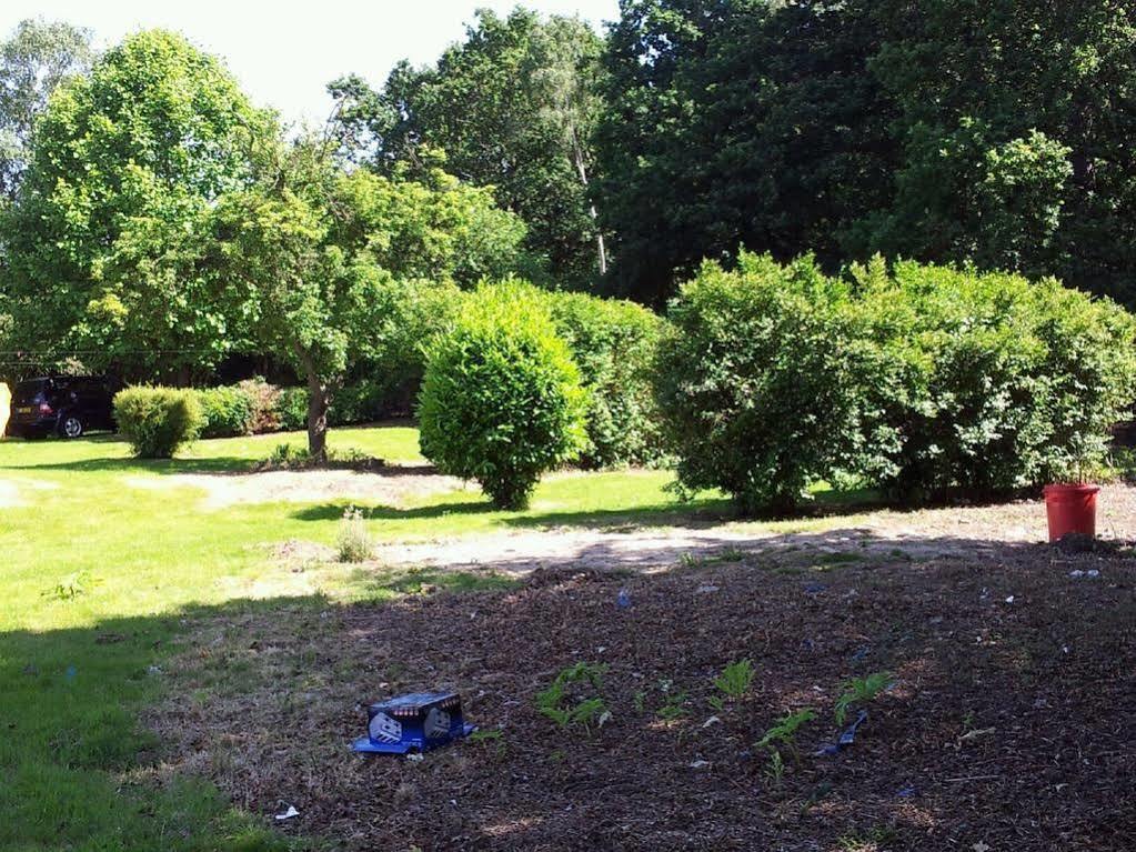 Ruxley Rooms Sidcup Dış mekan fotoğraf